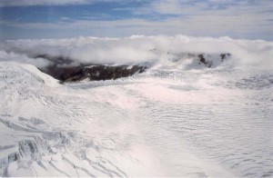 fox glacier new zealand